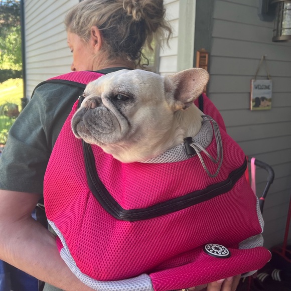 Dog carrier NWOT - Picture 7 of 9